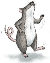 Dancing mouse