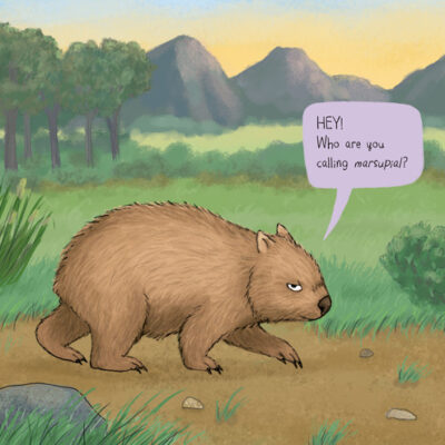 Scene from WOMBATS ARE PRETTY WEIRD (Greenwillow Books, 2023)