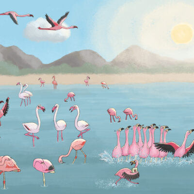 Crowd of flamingos
