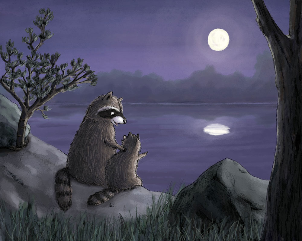 Raccoons at night illustration by Abi Cushman