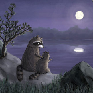Raccoons looking at moon