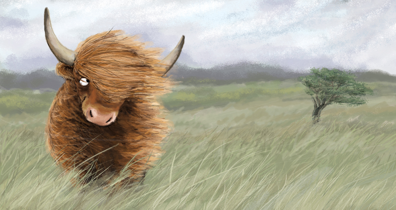 Highland Coo Illustration by Abi Cushman