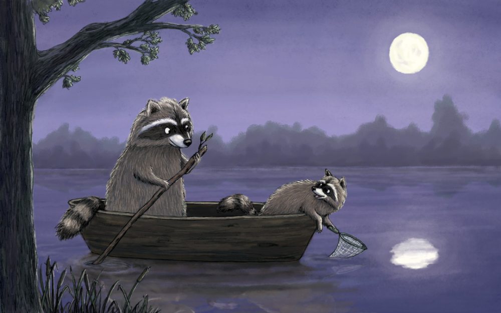 Raccoons at night illustration by Abi Cushman