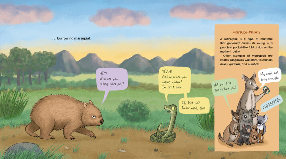 Spread from WOMBATS ARE PRETTY WEIRD by Abi Cushman