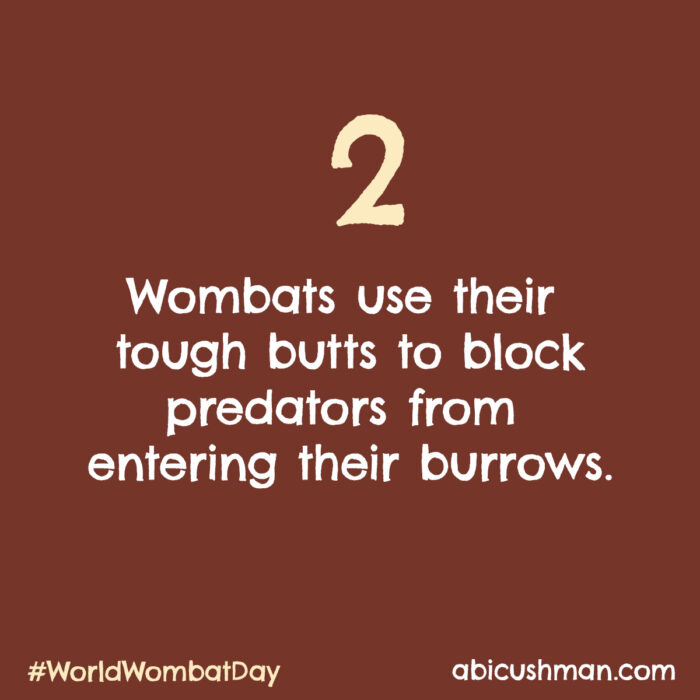 Wombats use their tough butts to block predators from entering their burrows.