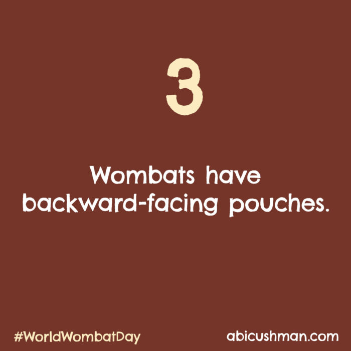 Wombats have backward-facing pouches.