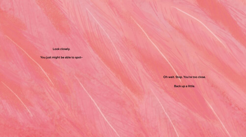 Spread from Flamingos Are Pretty Funky: Funny Nonfiction Book