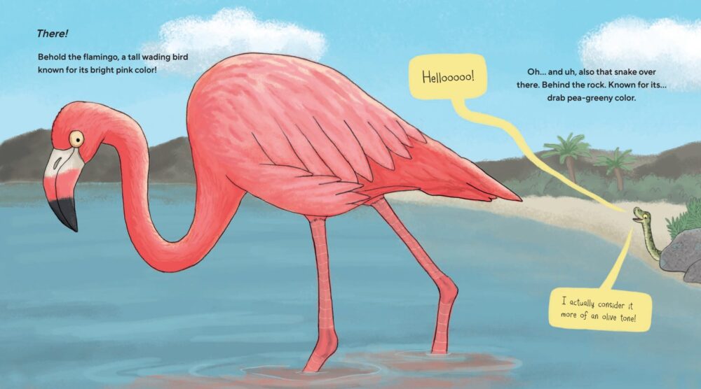 Spread from Flamingos Are Pretty Funky: Funny Nonfiction Book